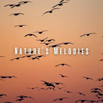 Nature's Melodies: Bird Songs and Chill Music for Massage Bliss by Massage Music Station