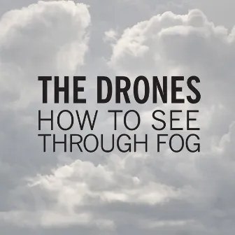 How To See Through Fog by The Drones