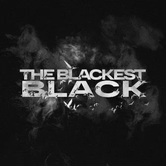 The Blackest Black by Logical Disparity