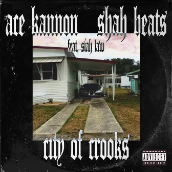 City of Crooks by Ace Kannon