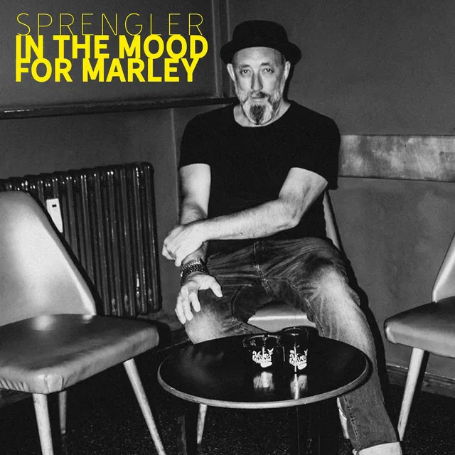 In the Mood for Marley - Single Mix