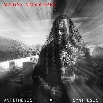 Antithesis of Synthesis by Marco Middlesex