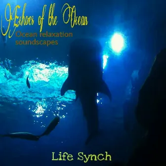 Echoes of the Ocean by Life Sync