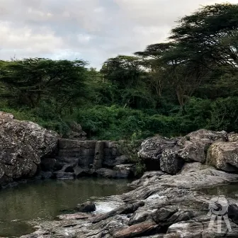 River Drone by Mbogua Mbugua Mbugua