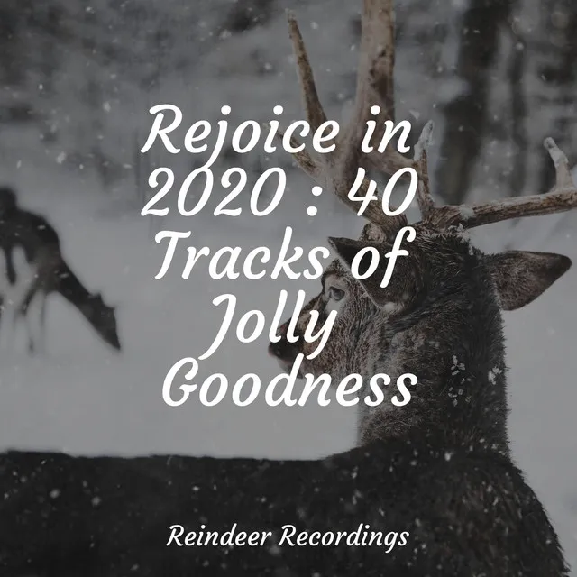 Rejoice in 2020 : 40 Tracks of Jolly Goodness