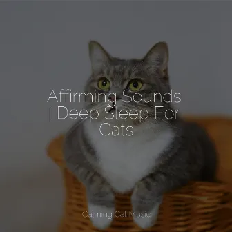 Affirming Sounds | Deep Sleep For Cats by Cat Music