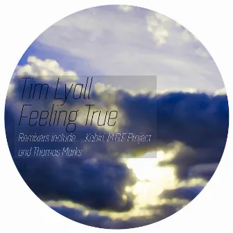 Feeling True by Tim Lyall