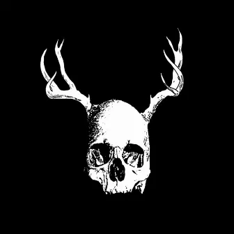 Skull with Antlers by Secret Fun Club