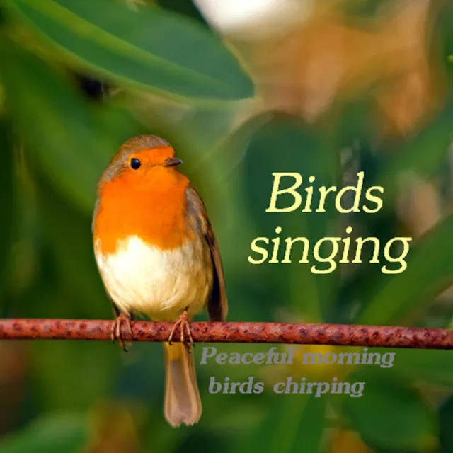 One Bird Singing