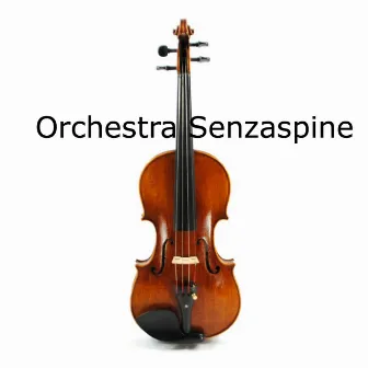 Orchestra Senzaspine by Tommaso Ussardi