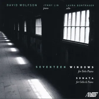 Seventeen Windows by David Wolfson