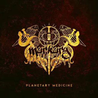 Planetary Medicine by Murkury