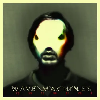 Counting Birds by Wave Machines