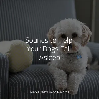 Serene Sounds For Dogs | Meditation Focus and Sleep by Yoga