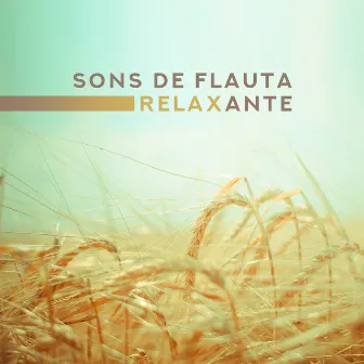 Sons de Flauta Relaxante – Tranquilidade, Paz, Harmonia, Mente Leve, Sono Restaurador, Música Calmante by Magic New Age Music Masters