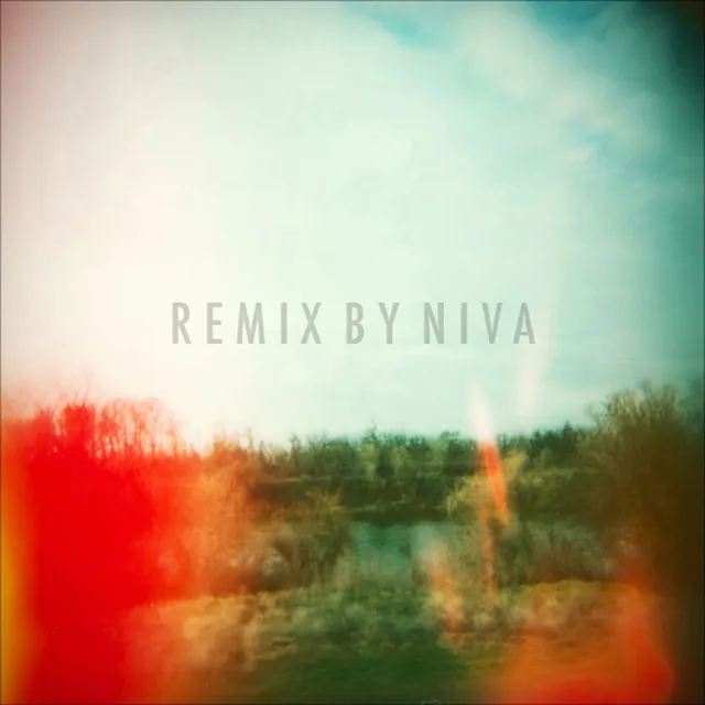 What We Lost - Niva Remix