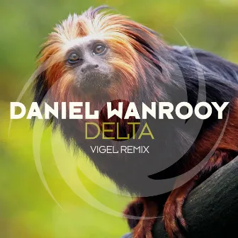 Delta (Vigel Remix) by Daniel Wanrooy