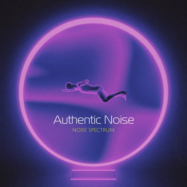 Authentic Noise