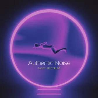 Authentic Noise by Noise Spectrum