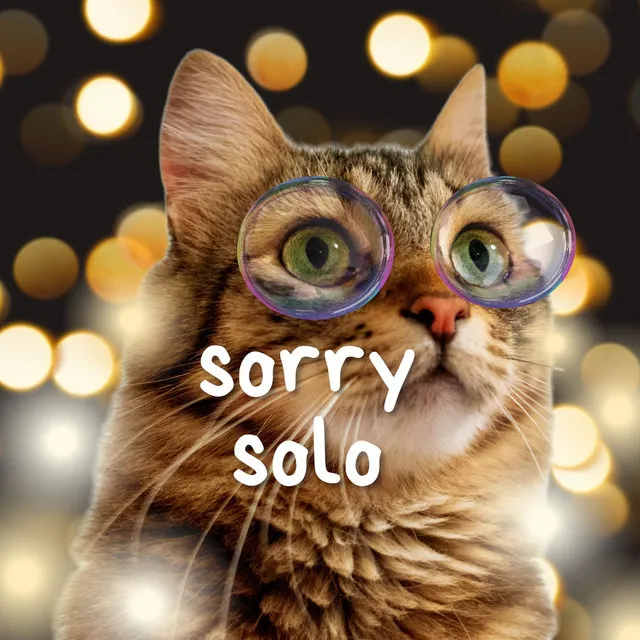 Sorry Solo