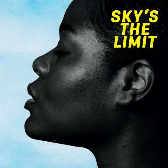 Sky's the Limit by Brittany Wallace