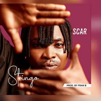 Scar by Stringo