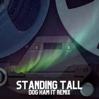 Standing Tall (Dog Ham It Remix) by Dog Ham It