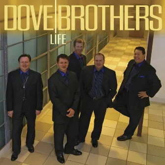 Life by Dove Brothers