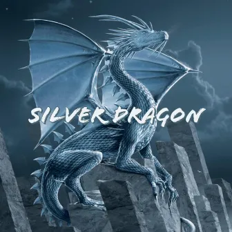 Silver Dragon by Heeljayden