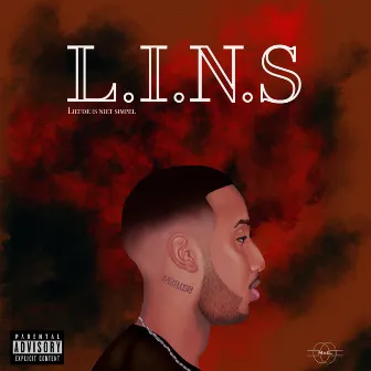 L.I.N.S by Mael