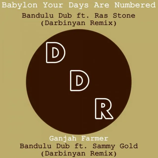 Babylon Your Days Are Numbered (feat. Ras Stone) - Darbinyan Remix