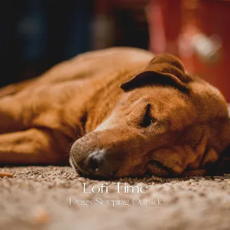 Lofi Time: Dogs Sleeping Outside by Calm Dog Music