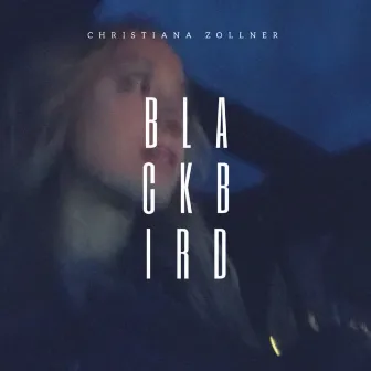 Blackbird by Christiana Zollner