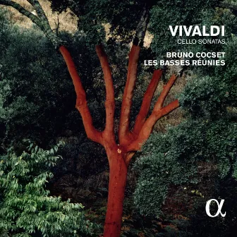 Vivaldi: Cello Sonatas (Alpha Collection) by Les Basses Réunies