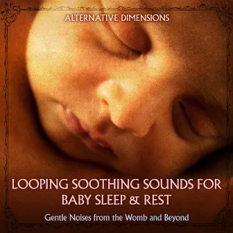 Looping Soothing Sounds for Baby Sleep & Rest: Gentle Noises from the Womb and Beyond by Alternate Dimensions