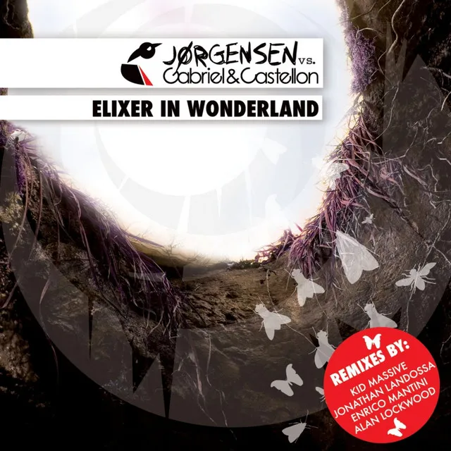 Elixer in Wonderland - Jonathan Landossa Remix