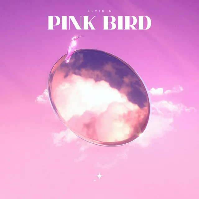 Pink Bird - Radio edit