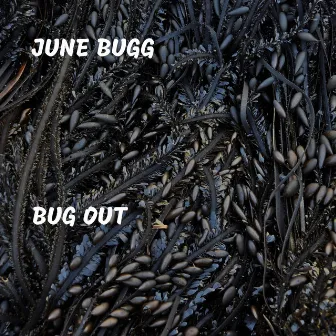 Bug Out by June Bugg