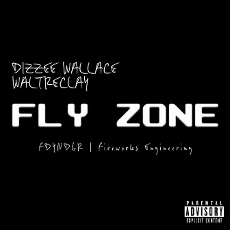 Fly Zone by Dizzee Wallace