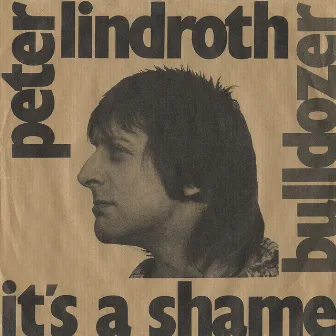 It's A Shame by Peter Lindroth