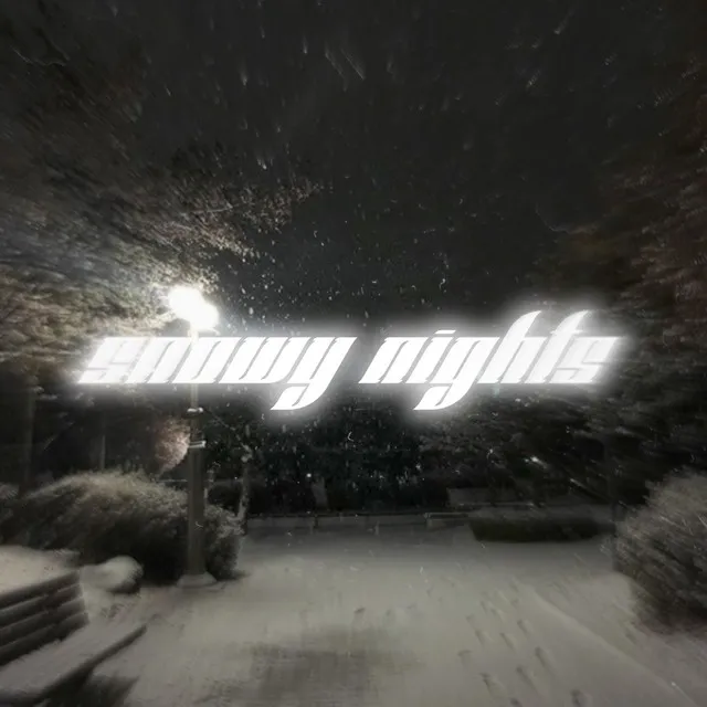 Snowy Nights