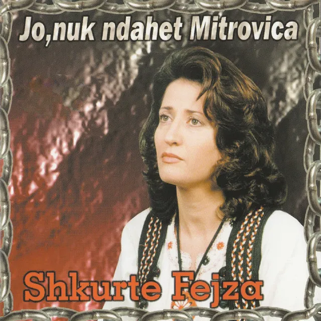 Jo, nuk ndahet Mitrovica