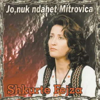 Jo, nuk ndahet Mitrovica by Shkurte Fejza