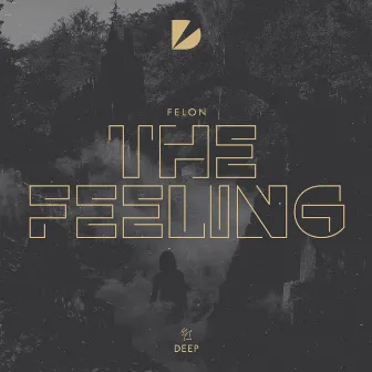 The Feeling by Felon