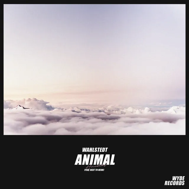 Animal