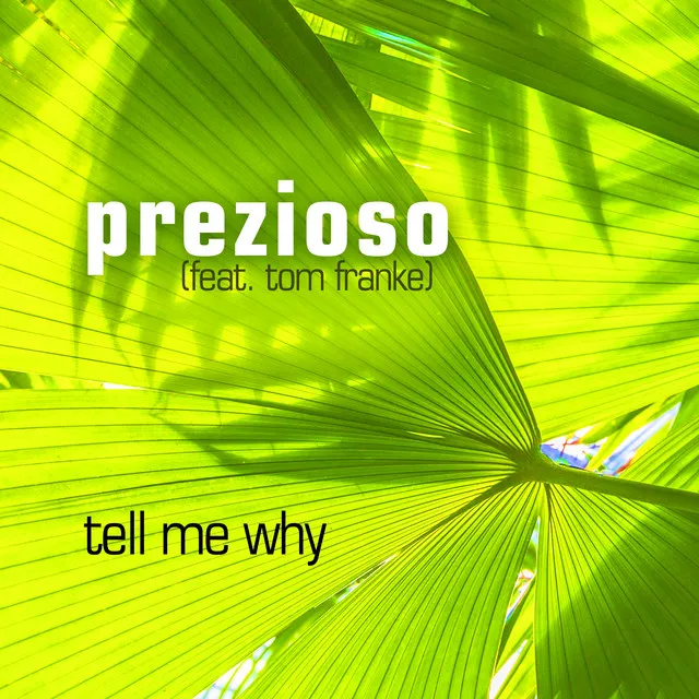 Tell Me Why (Original Extended Mix)