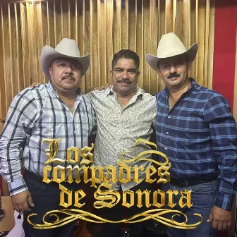 Amor Prohibido by Los Compadres de Sonora