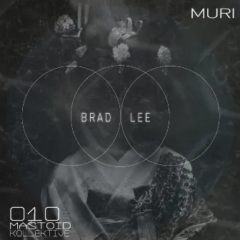 Muri by Brad Lee