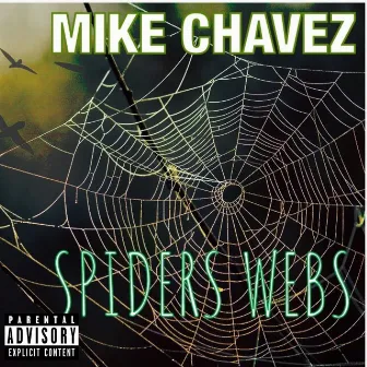 Spiders Webs by Mike Chavez