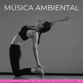 Música Ambiental: Suaves Lluvias Para Una Pacífica Meditación Vol. 1 by Meditación de 1 hora